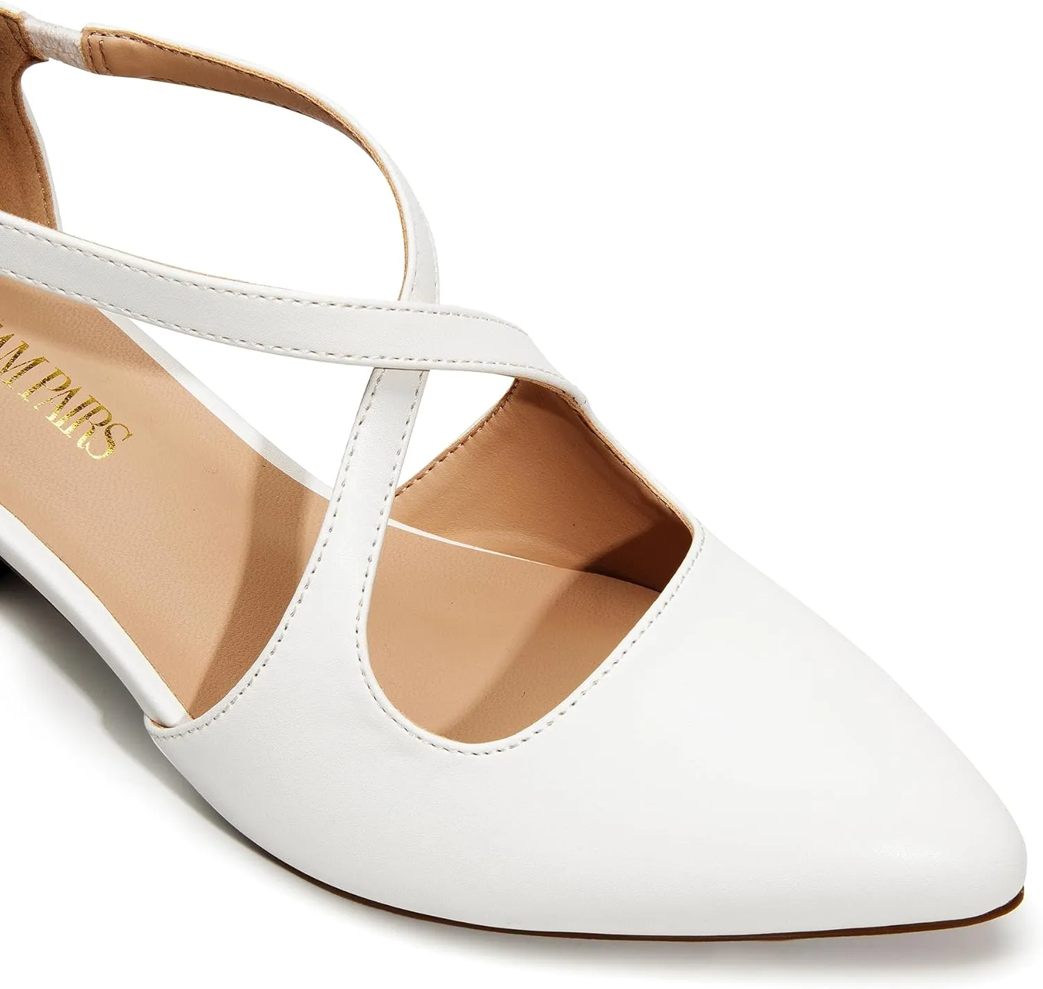 DREAM PAIRS Women's Chunky Heels Dress Pumps Closed Pointed Toe Comfort Cross Strap Block Heel Shoes for Party Dance Wedding