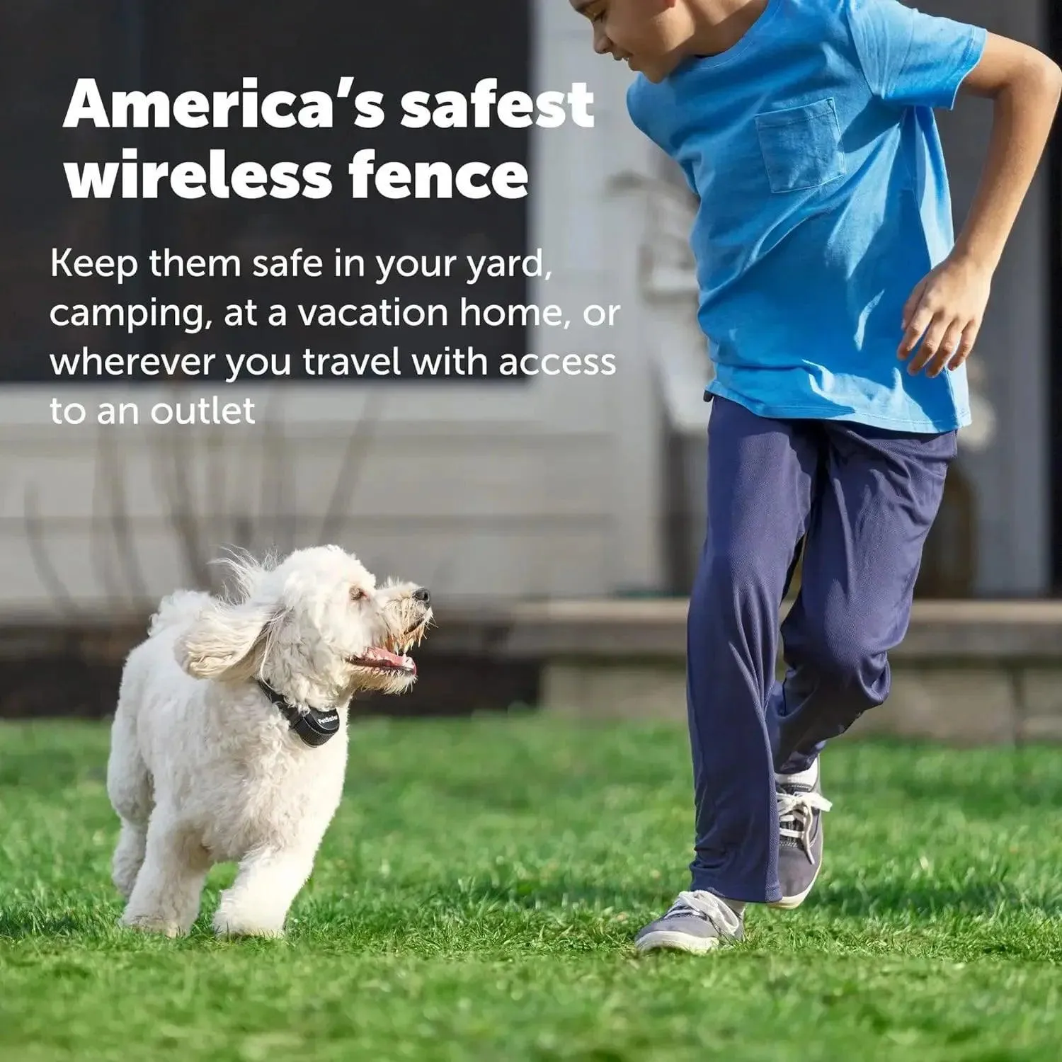 PetSafe Wireless Pet Fence with Replaceable Battery Collar