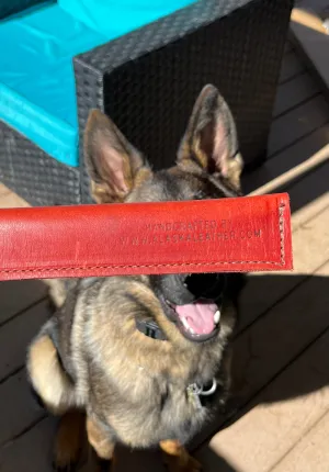 Sturdy Leather Dog Tug